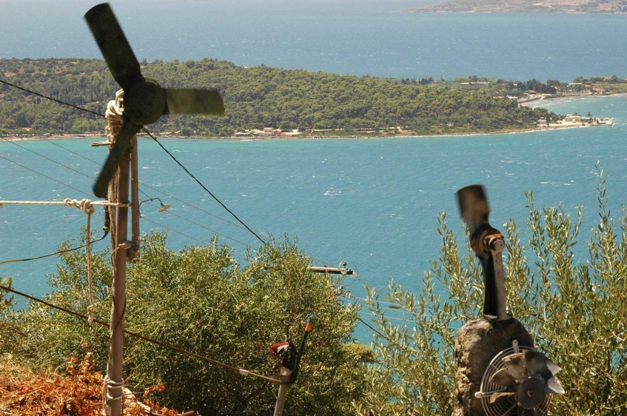 Art Studio Kefalonia Dhavgáta Esterno foto